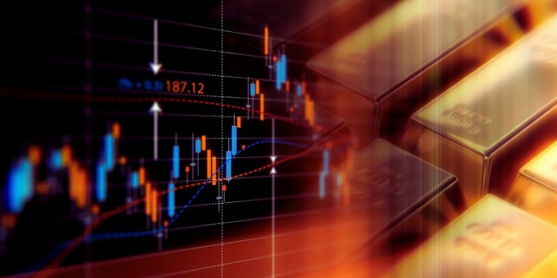 Building Expertise and Connections